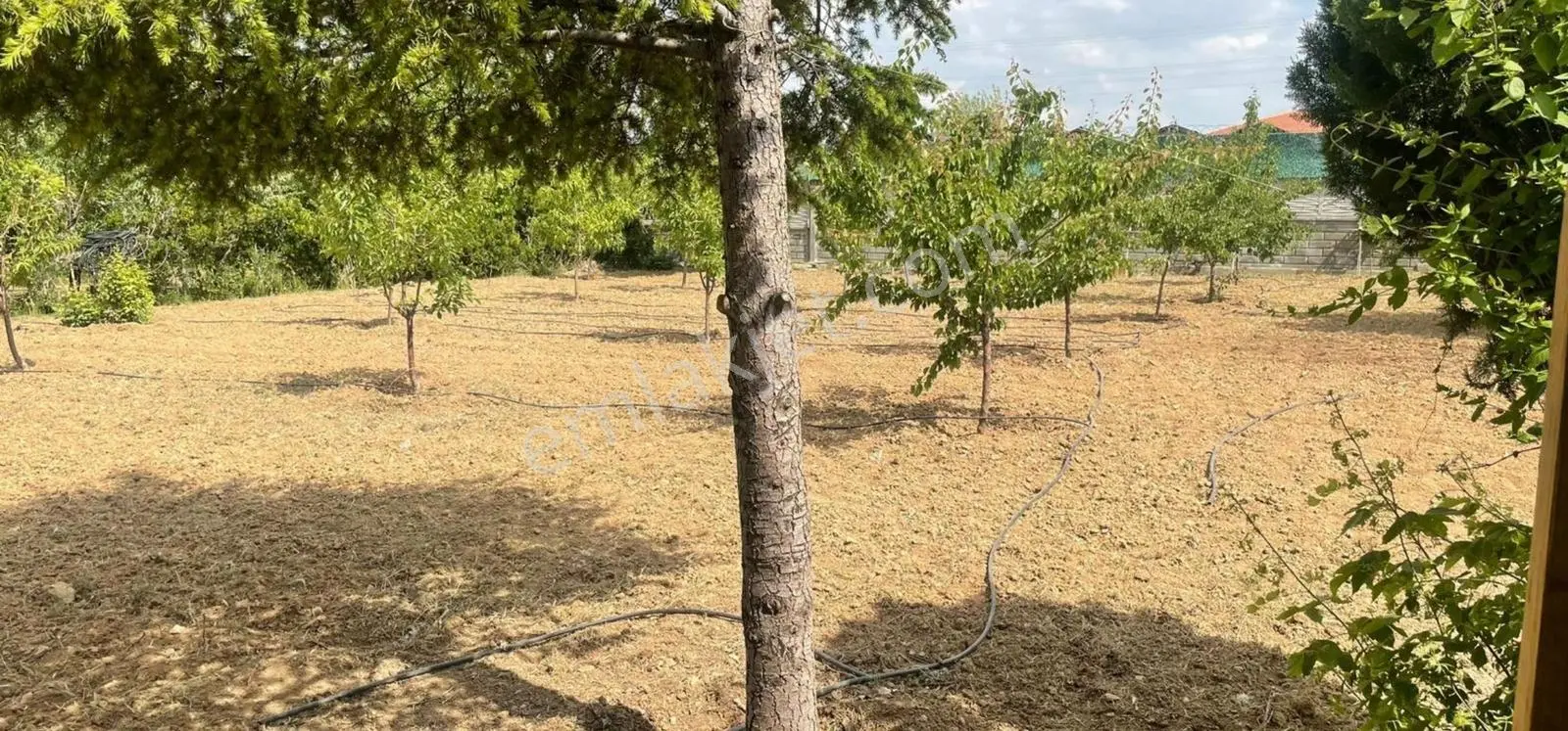 Selçuklu Çaltı'da 1080 M2 İçersinde Evi 0lan Satılık Arsa — fotoğraf 5