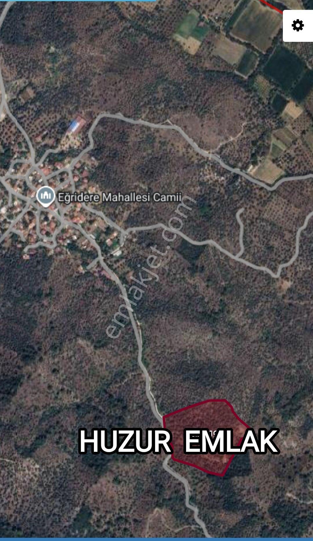 Milas Eğridere'de Satılık 24.645 M² Geniş Zeytinlik — fotoğraf 2