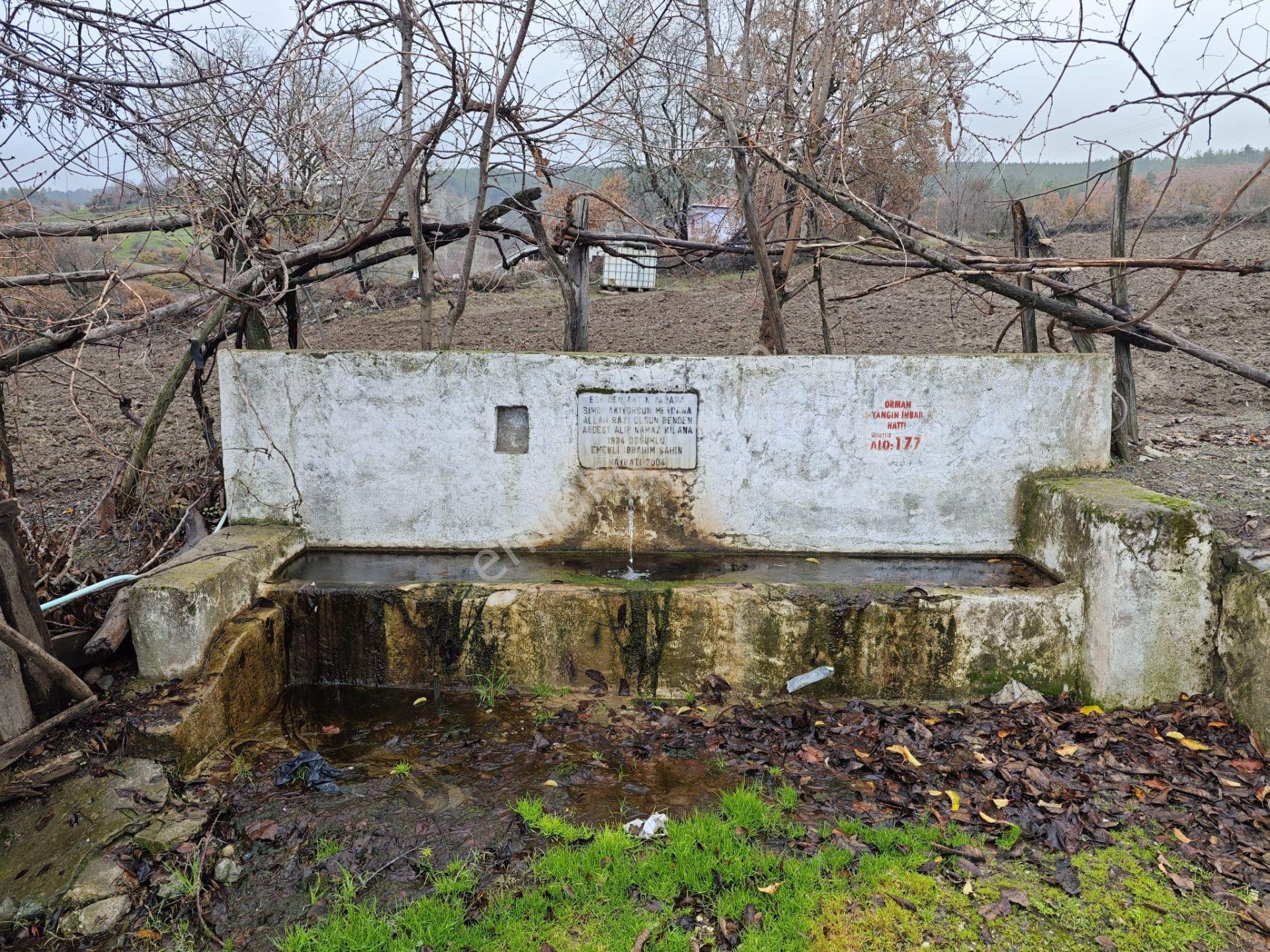 Dursunbey-kuzköy'de Yol Üstü Satılık 12,5 Dönüm Tarla — fotoğraf 2