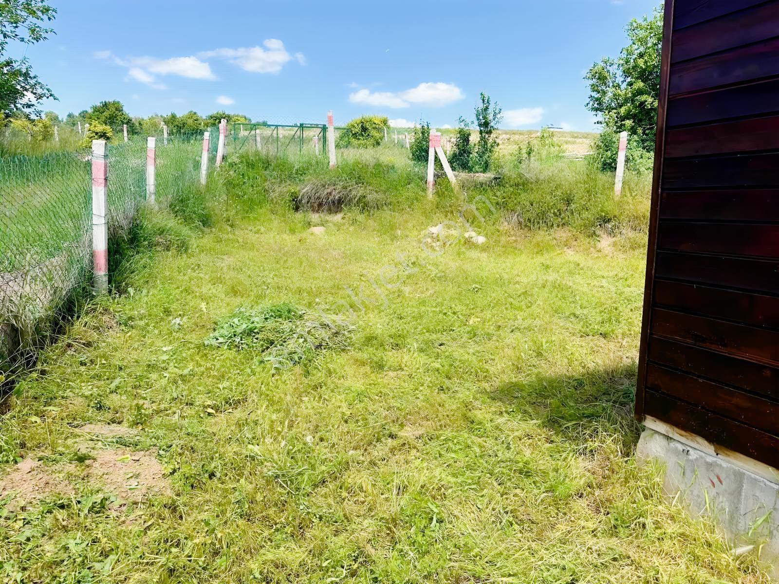 Bilecik Yenipazarda %40 İmarlı - 423 M² Arsa İçinde Ahşap Ev — fotoğraf 6
