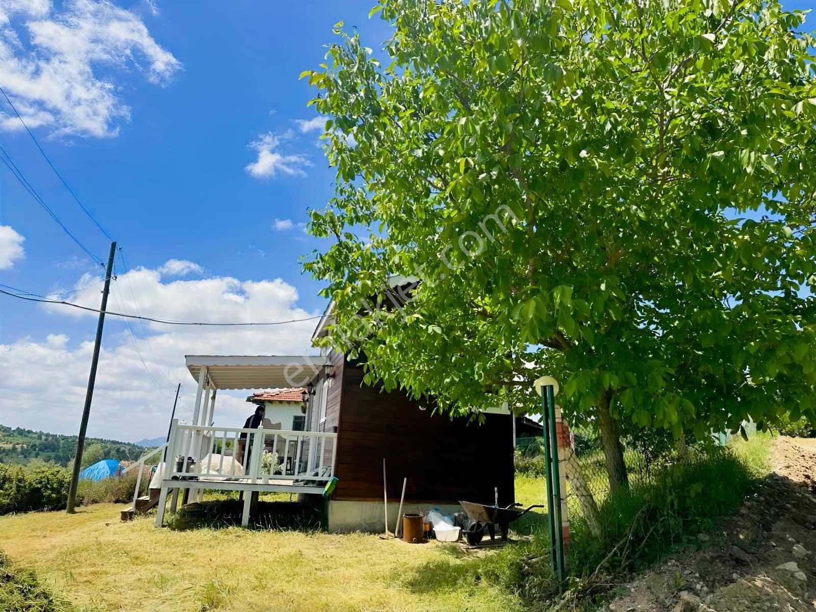 Bilecik Yenipazarda %40 İmarlı - 423 M² Arsa İçinde Ahşap Ev — fotoğraf 9