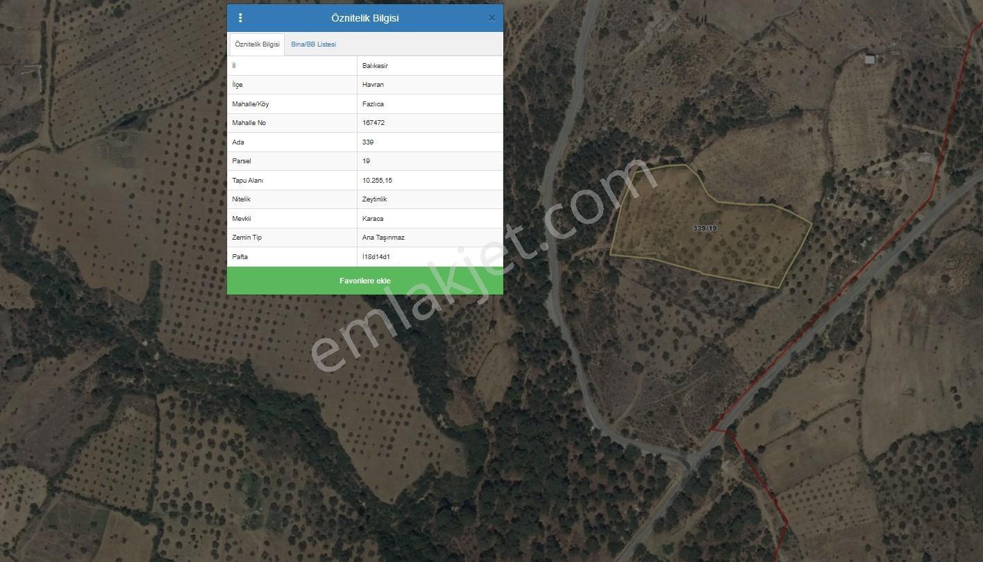 Havran Fazlıca'da Harika Konumda 10.255 M2 Satılık Zeytinlik