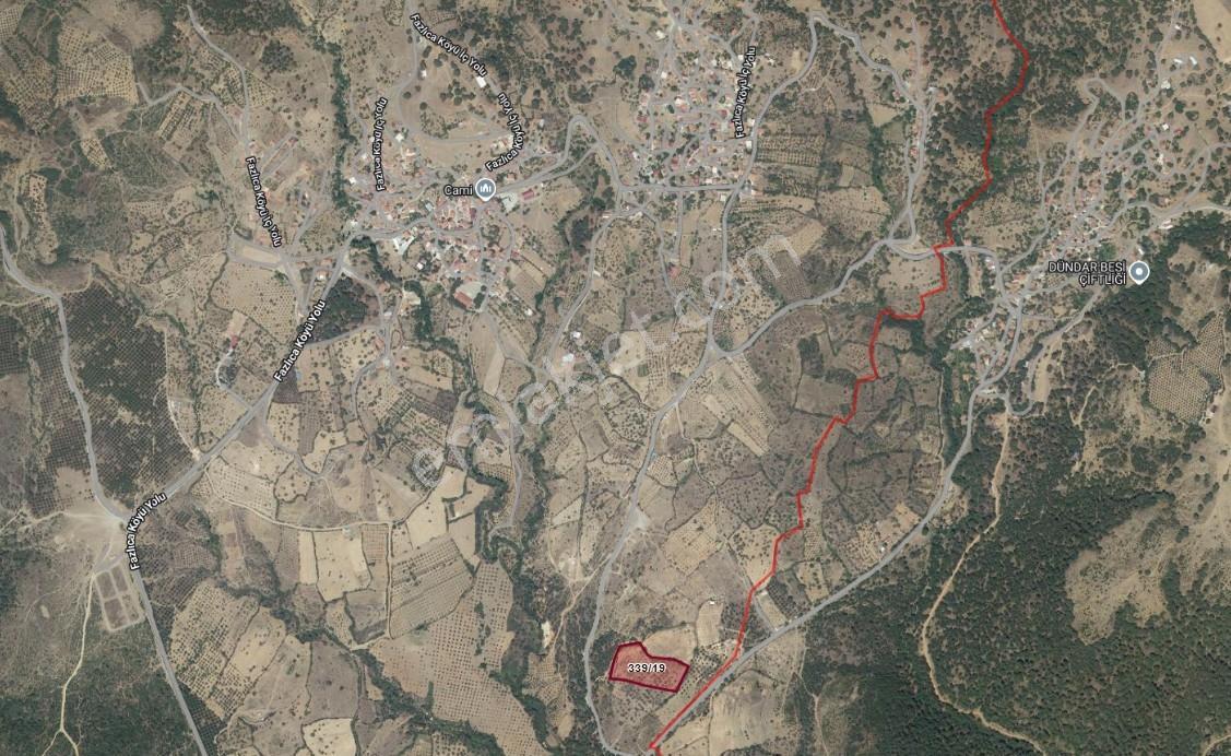 Havran Fazlıca'da Harika Konumda 10.255 M2 Satılık Zeytinlik — fotoğraf 2