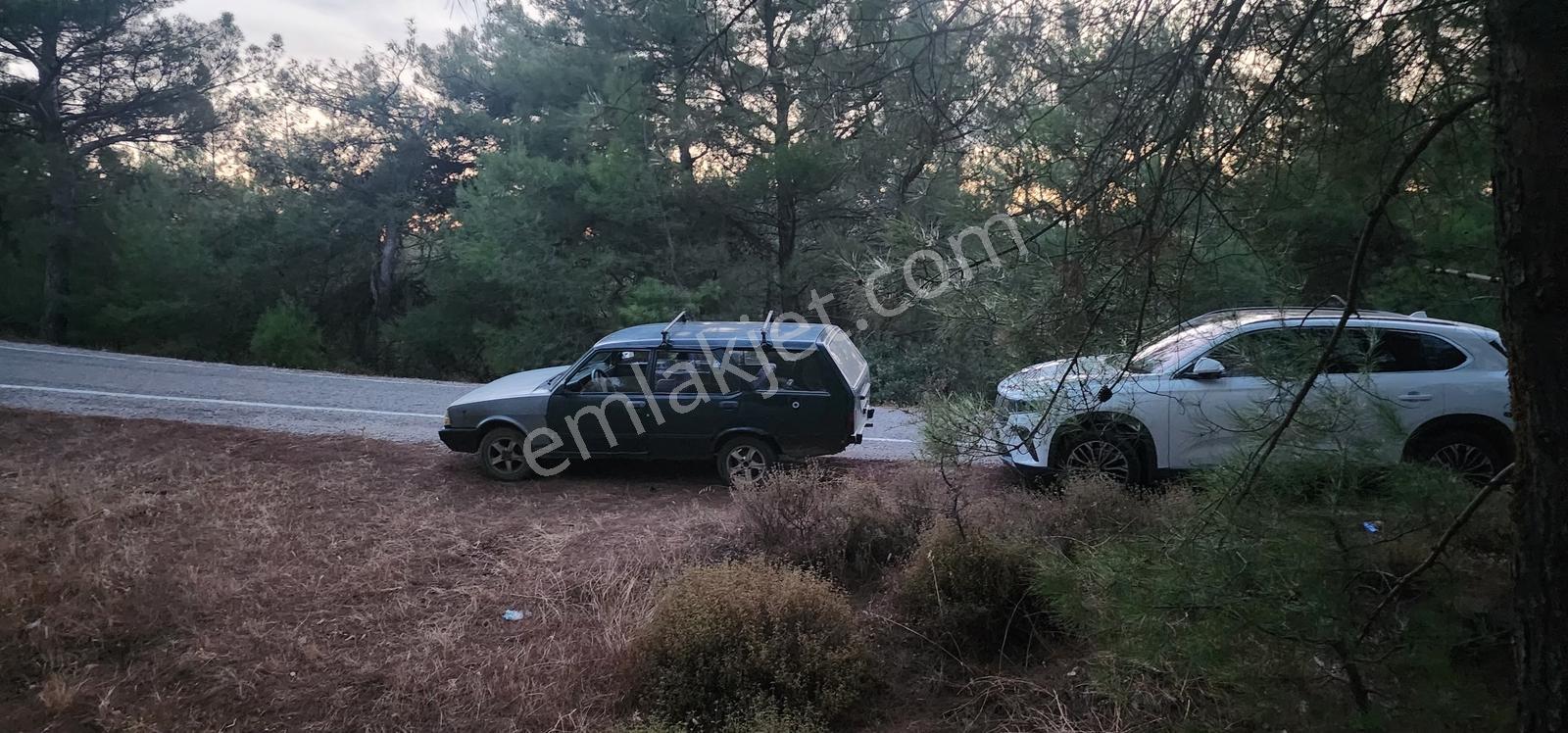 Havran Fazlıca'da Harika Konumda 10.255 M2 Satılık Zeytinlik — fotoğraf 3