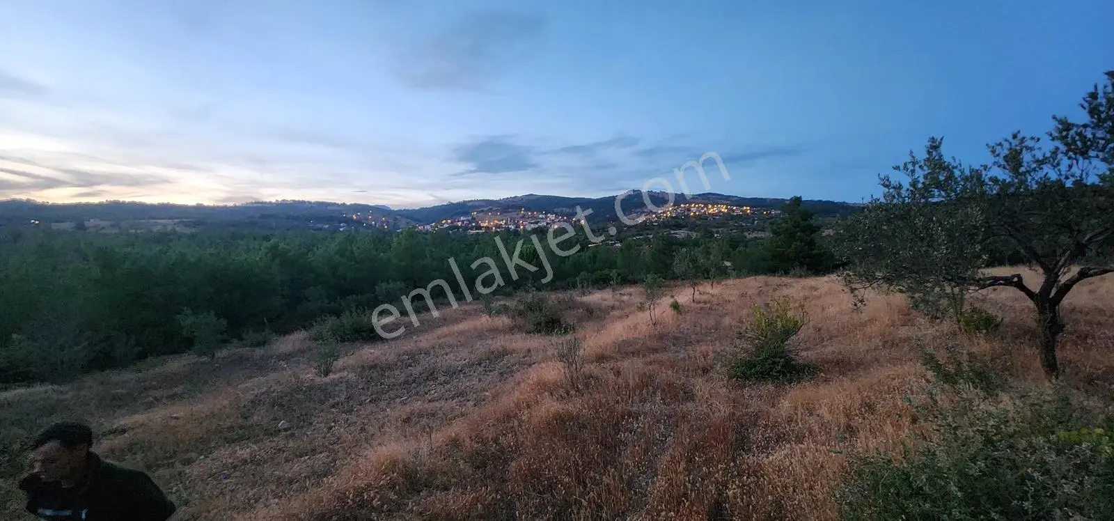 Havran Fazlıca'da Harika Konumda 10.255 M2 Satılık Zeytinlik — fotoğraf 7
