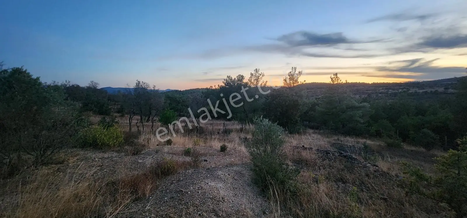 Havran Fazlıca'da Harika Konumda 10.255 M2 Satılık Zeytinlik — fotoğraf 11