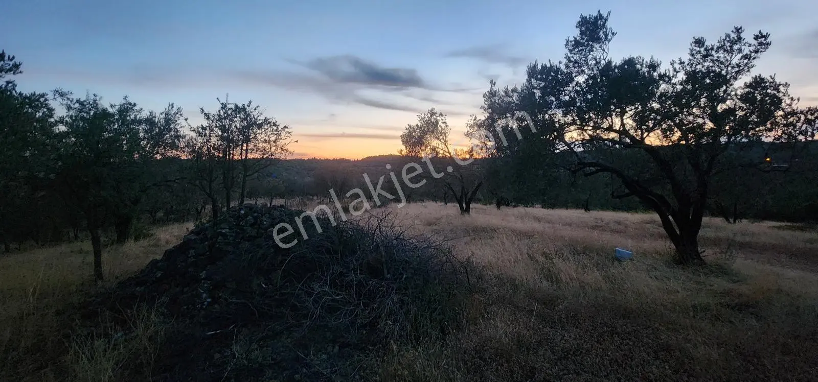 Havran Fazlıca'da Harika Konumda 10.255 M2 Satılık Zeytinlik — fotoğraf 13