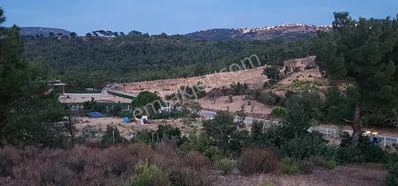 Havran Fazlıca'da Harika Konumda 10.255 M2 Satılık Zeytinlik — fotoğraf 20
