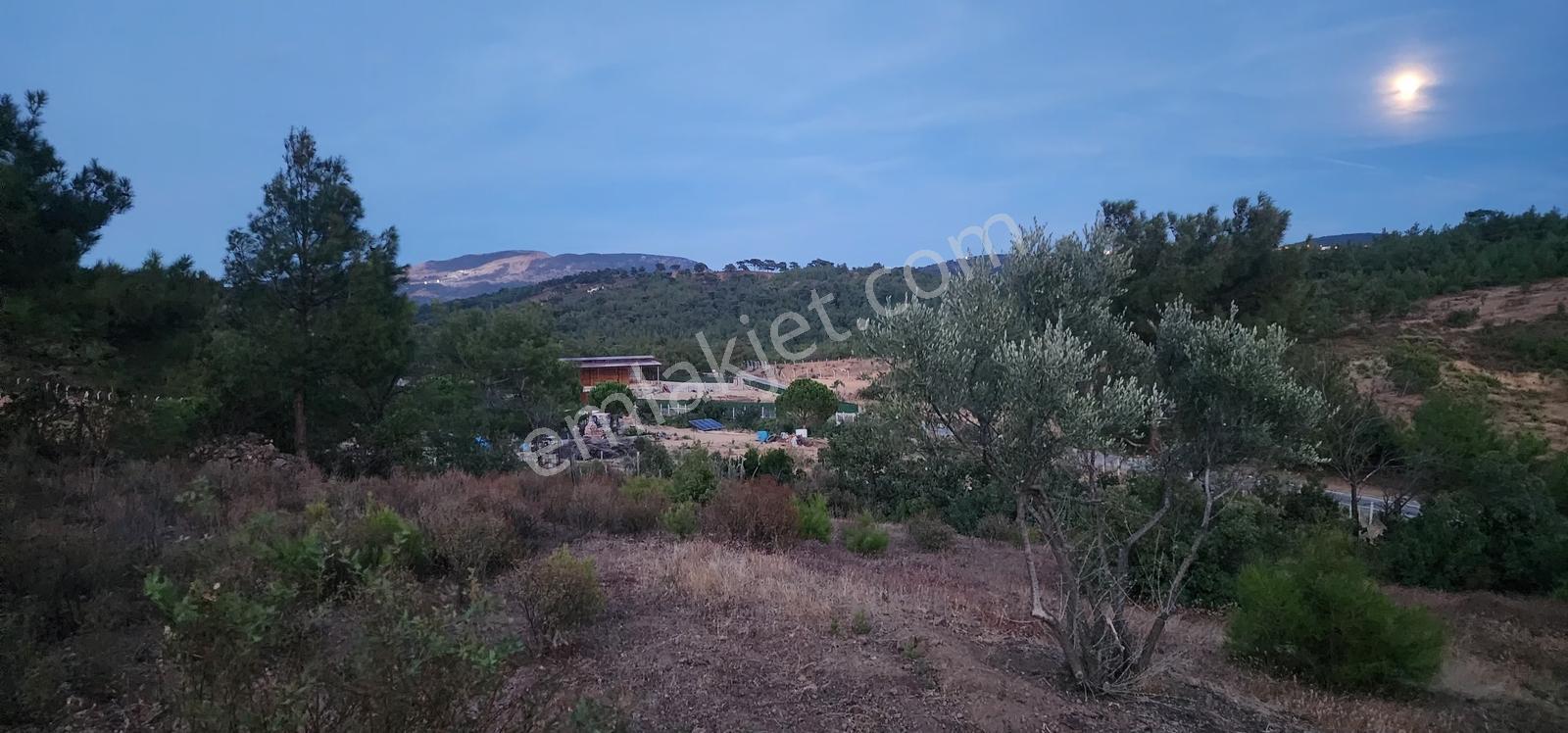 Havran Fazlıca'da Harika Konumda 10.255 M2 Satılık Zeytinlik — fotoğraf 21