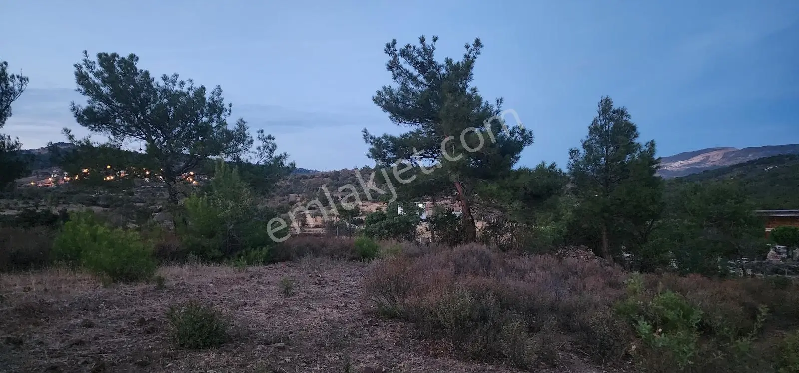 Havran Fazlıca'da Harika Konumda 10.255 M2 Satılık Zeytinlik — fotoğraf 22