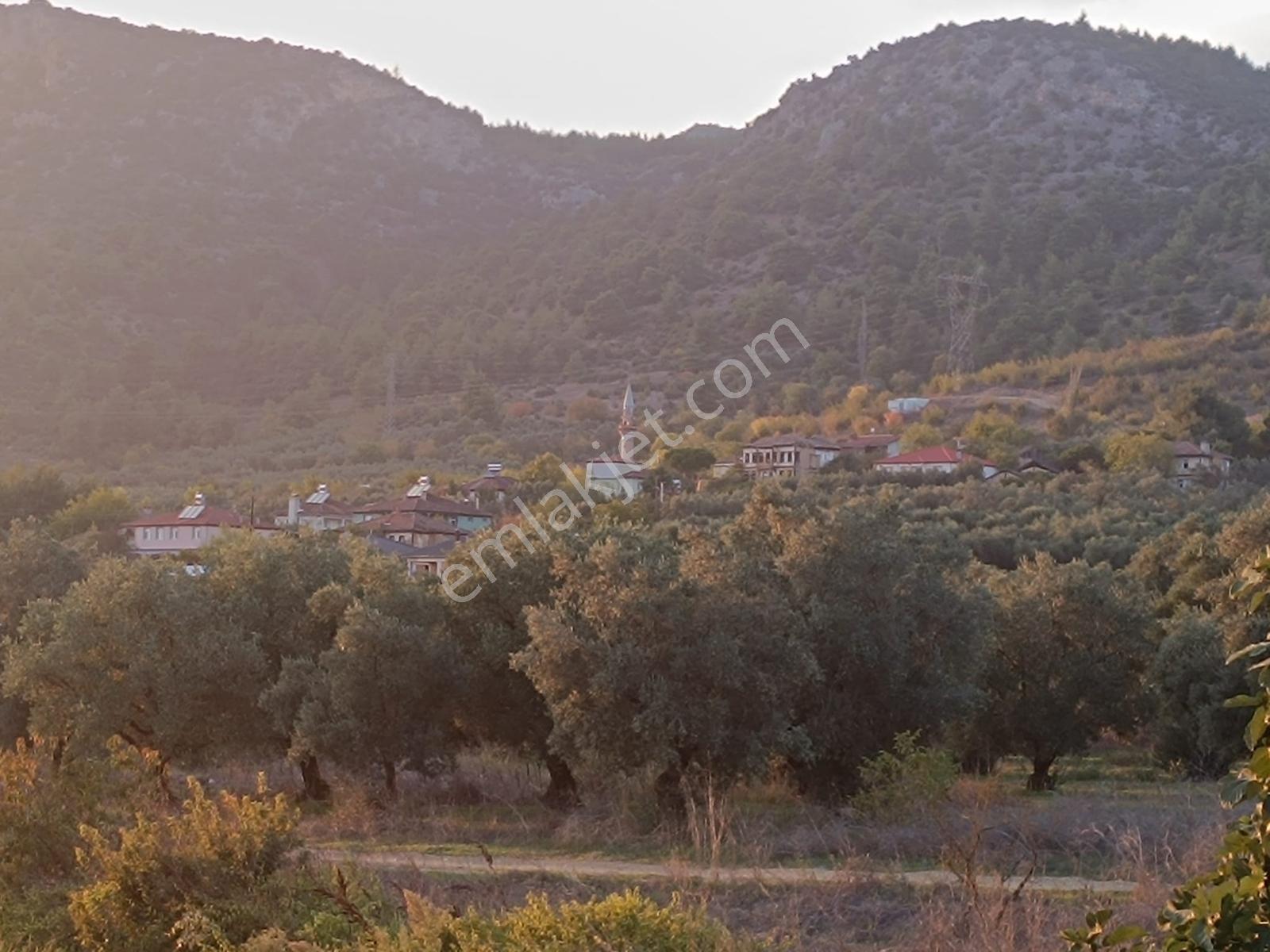 Oruçlu Köyü'nde 900 M² Müstakil Tapulu, Çift Yol Cepheli Bağ — fotoğraf 8