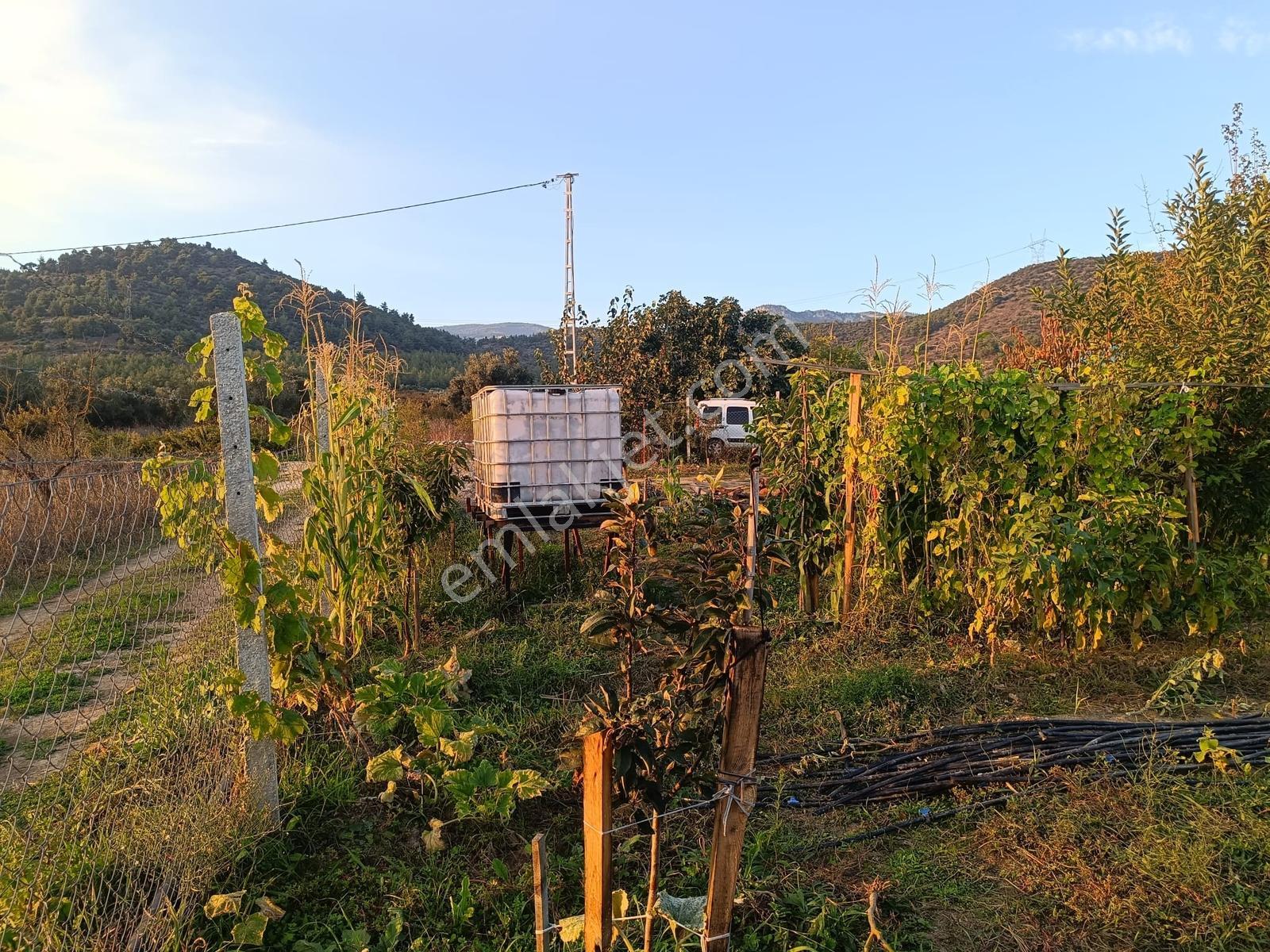 Oruçlu Köyü'nde 900 M² Müstakil Tapulu, Çift Yol Cepheli Bağ — fotoğraf 19