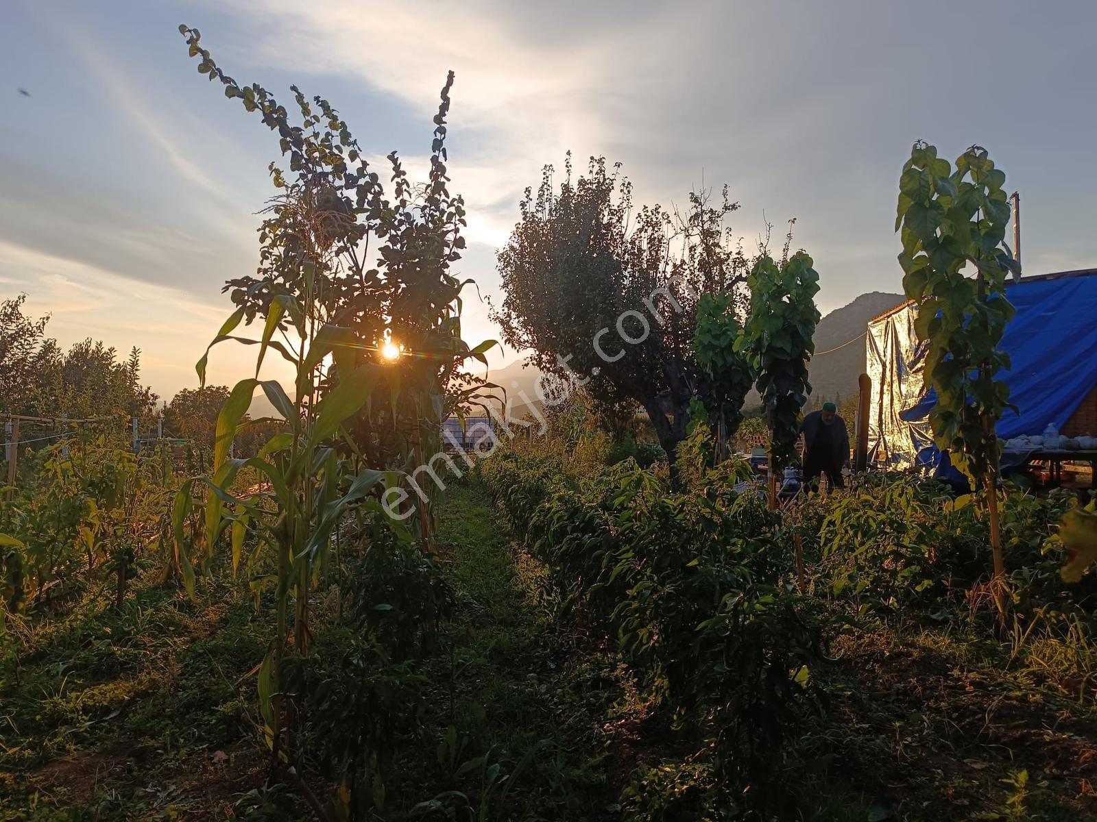 Oruçlu Köyü'nde 900 M² Müstakil Tapulu, Çift Yol Cepheli Bağ — fotoğraf 23