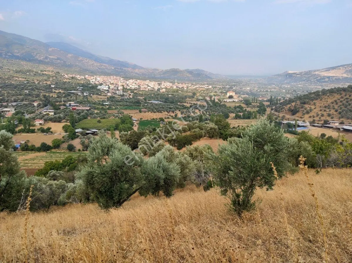 Beydağ’Da Şehir Ve Doğa Manzaralı Satılık Müstakil Zeytinlik