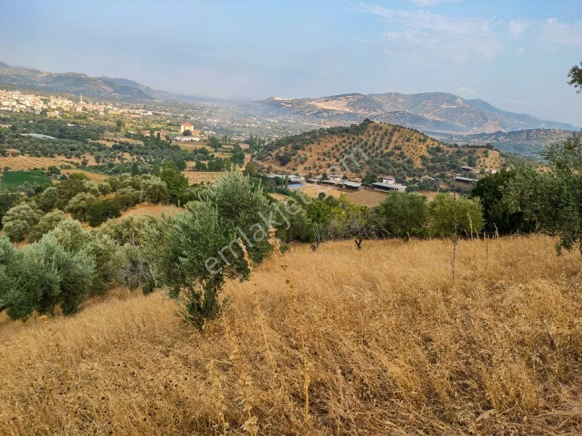 Beydağ’da Şehir Ve Doğa Manzaralı Satılık Müstakil Zeytinlik — fotoğraf 2