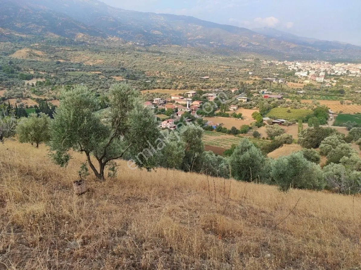 Beydağ’da Şehir Ve Doğa Manzaralı Satılık Müstakil Zeytinlik — fotoğraf 3