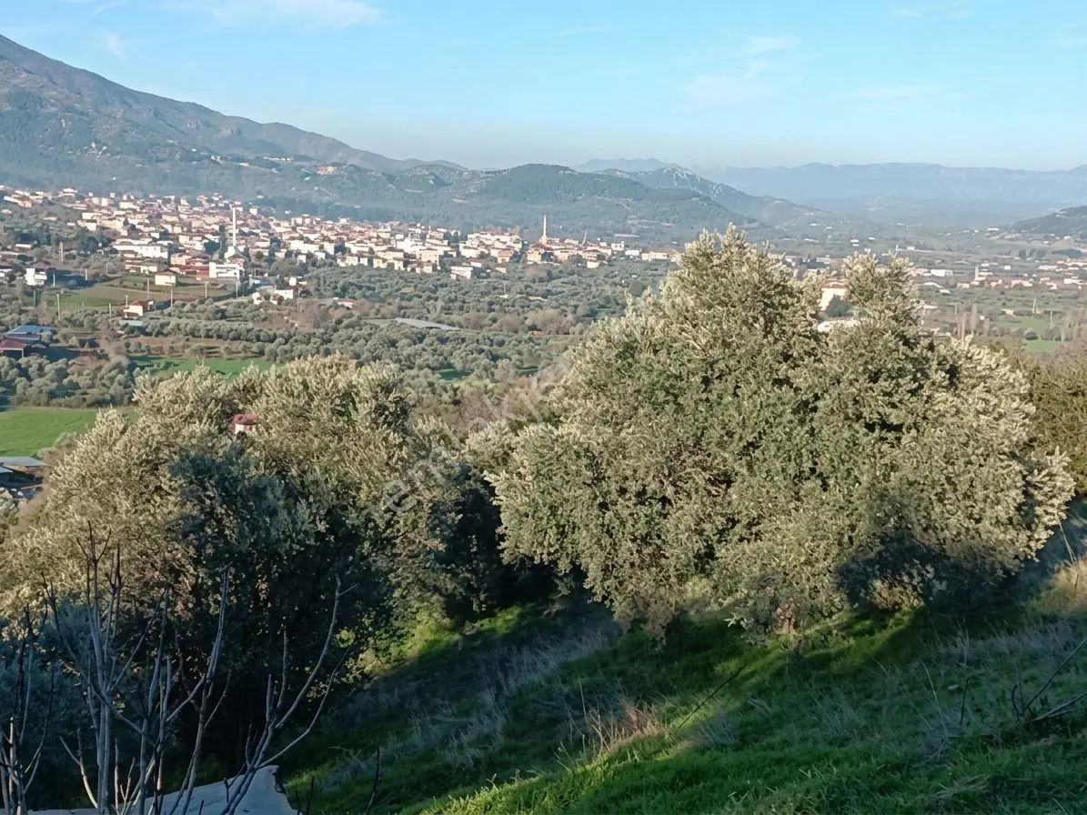 Beydağ’da Şehir Ve Doğa Manzaralı Satılık Müstakil Zeytinlik — fotoğraf 4
