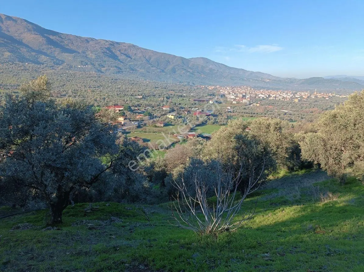 Beydağ’da Şehir Ve Doğa Manzaralı Satılık Müstakil Zeytinlik — fotoğraf 5