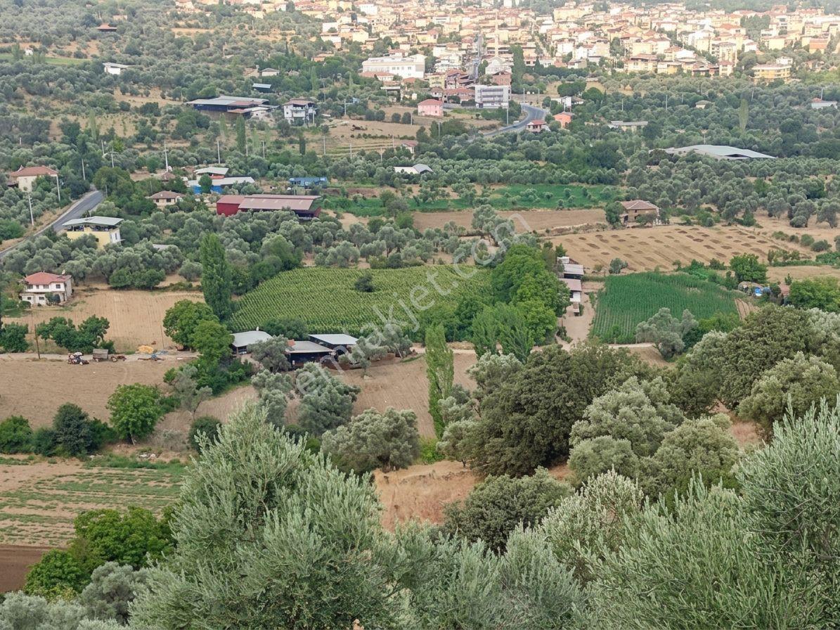 Beydağ’da Şehir Ve Doğa Manzaralı Satılık Müstakil Zeytinlik — fotoğraf 6