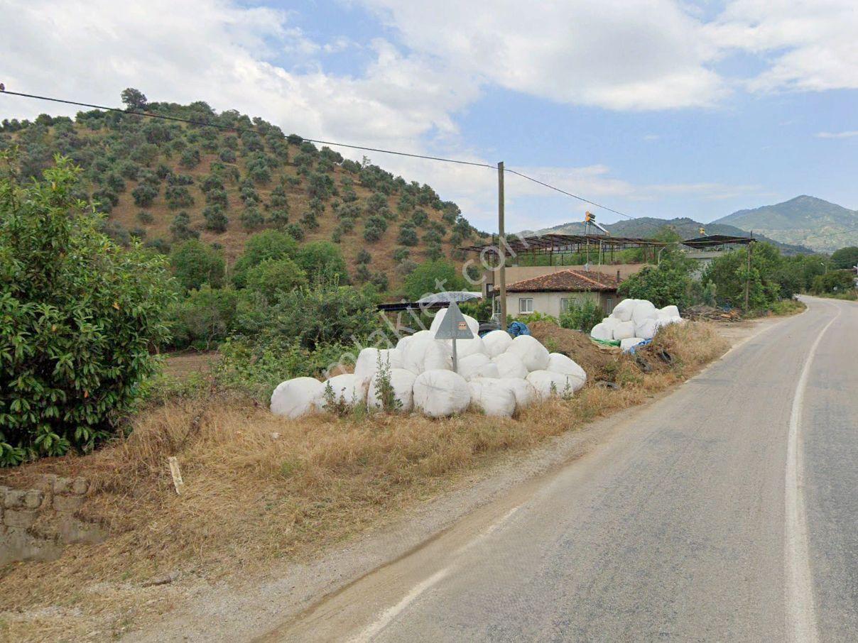 Beydağ’da Şehir Ve Doğa Manzaralı Satılık Müstakil Zeytinlik — fotoğraf 7