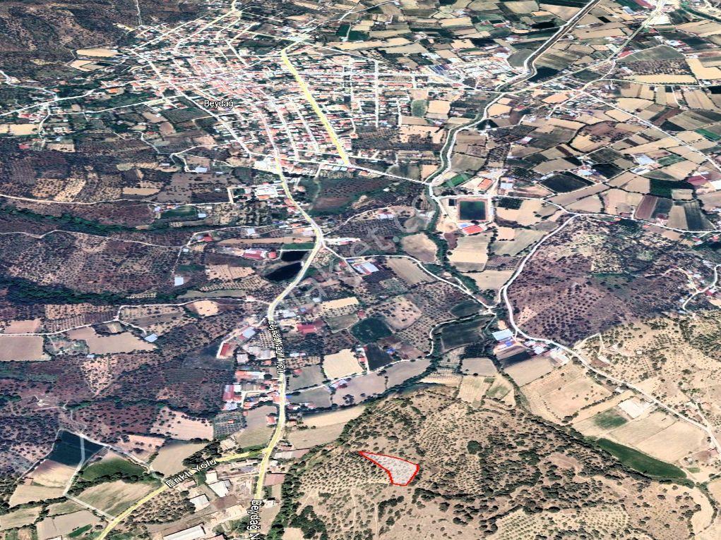 Beydağ’da Şehir Ve Doğa Manzaralı Satılık Müstakil Zeytinlik — fotoğraf 9