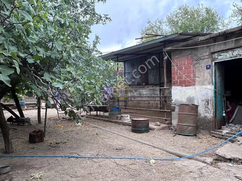 Hb'den Satılık Kargir Ev, Musluca Mh.'de 482m² Yolu Açık Arsa — fotoğraf 16