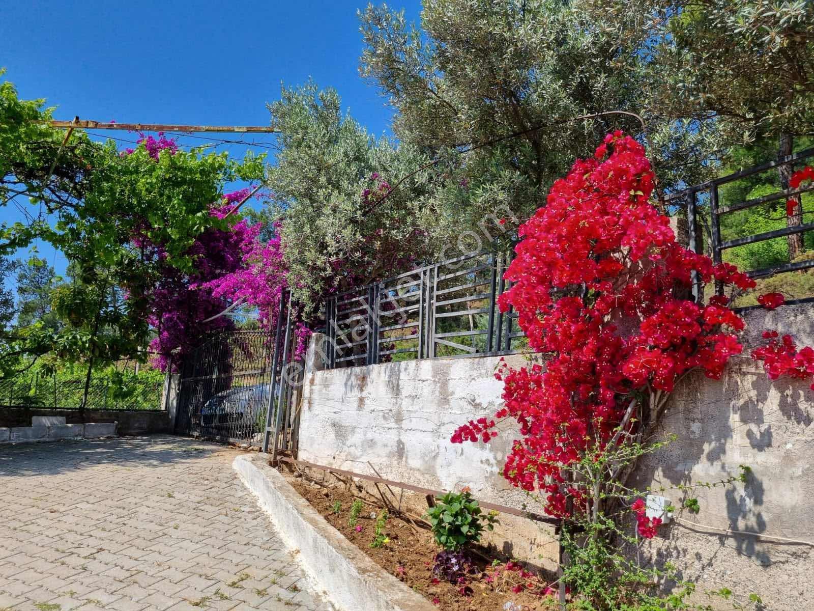 Yanıklarda Satılık Müstakil Ev — fotoğraf 4