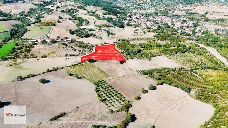 Acill Satılık Kömeç Köyünde 8.256 M² Tarla Çok Uygun Tek Tapu