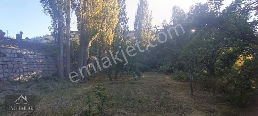 Turan'da Muhteşem Konumda Bahçe "inci Emlak'tan " — fotoğraf 2