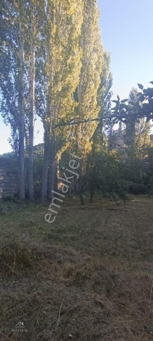 Turan'da Muhteşem Konumda Bahçe "inci Emlak'tan " — fotoğraf 3