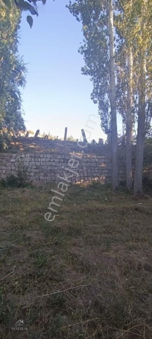Turan'da Muhteşem Konumda Bahçe "inci Emlak'tan " — fotoğraf 6