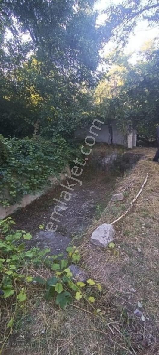 Turan'da Muhteşem Konumda Bahçe "inci Emlak'tan " — fotoğraf 7