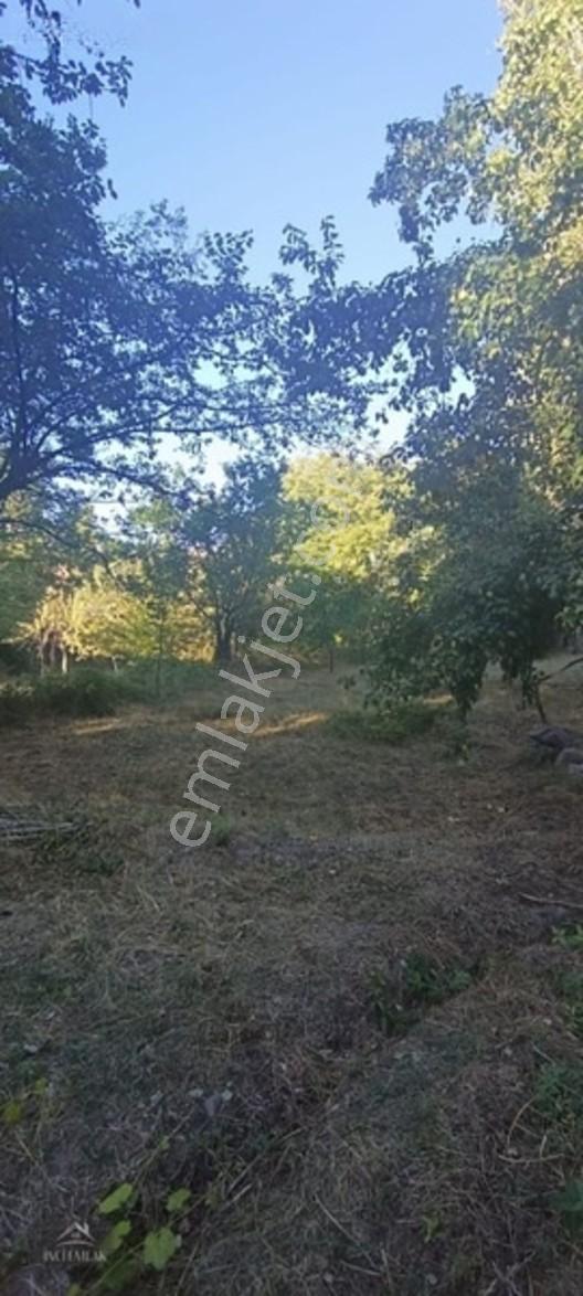 Turan'da Muhteşem Konumda Bahçe "inci Emlak'tan " — fotoğraf 8