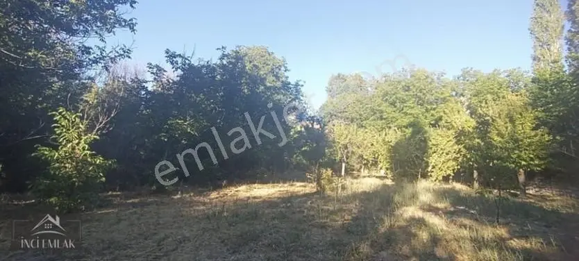 Turan'da Muhteşem Konumda Bahçe "inci Emlak'tan " — fotoğraf 10