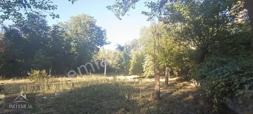 Turan'da Muhteşem Konumda Bahçe "inci Emlak'tan " — fotoğraf 11