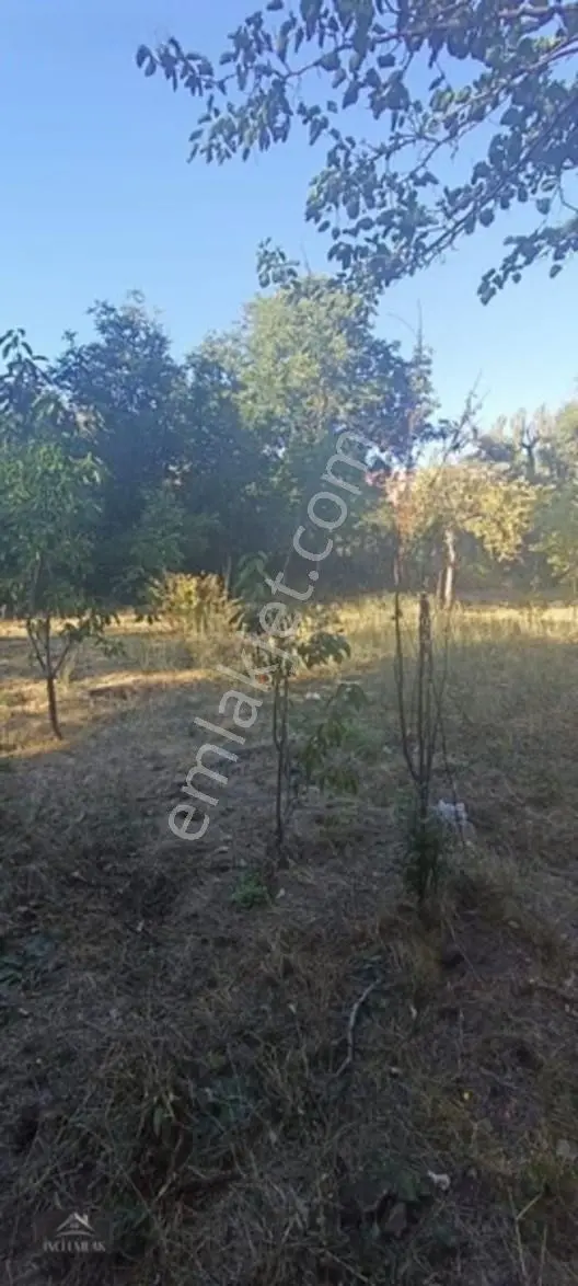Turan'da Muhteşem Konumda Bahçe "inci Emlak'tan " — fotoğraf 13