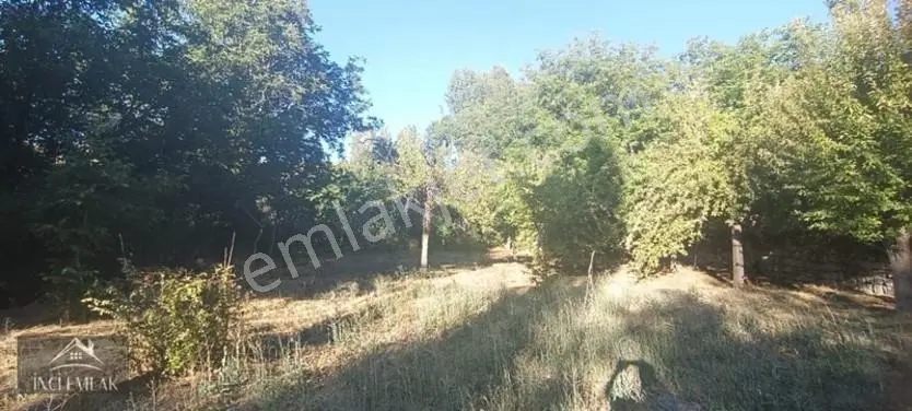 Turan'da Muhteşem Konumda Bahçe "inci Emlak'tan " — fotoğraf 14