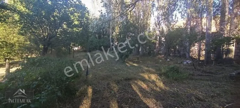 Turan'da Muhteşem Konumda Bahçe "inci Emlak'tan " — fotoğraf 15