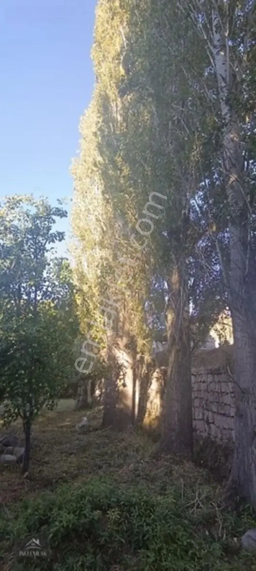 Turan'da Muhteşem Konumda Bahçe "inci Emlak'tan " — fotoğraf 16