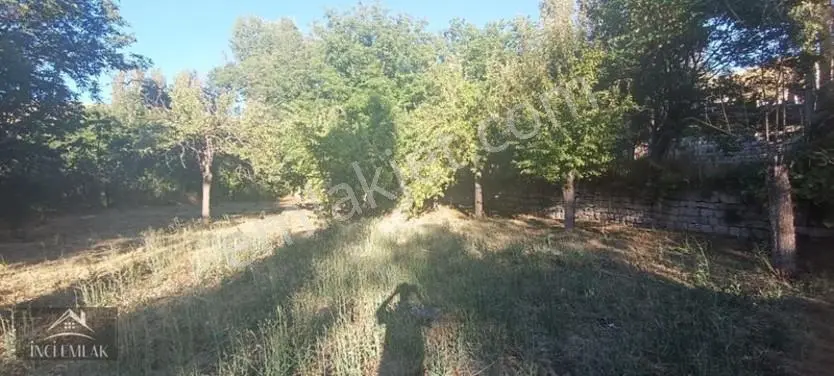 Turan'da Muhteşem Konumda Bahçe "inci Emlak'tan " — fotoğraf 22