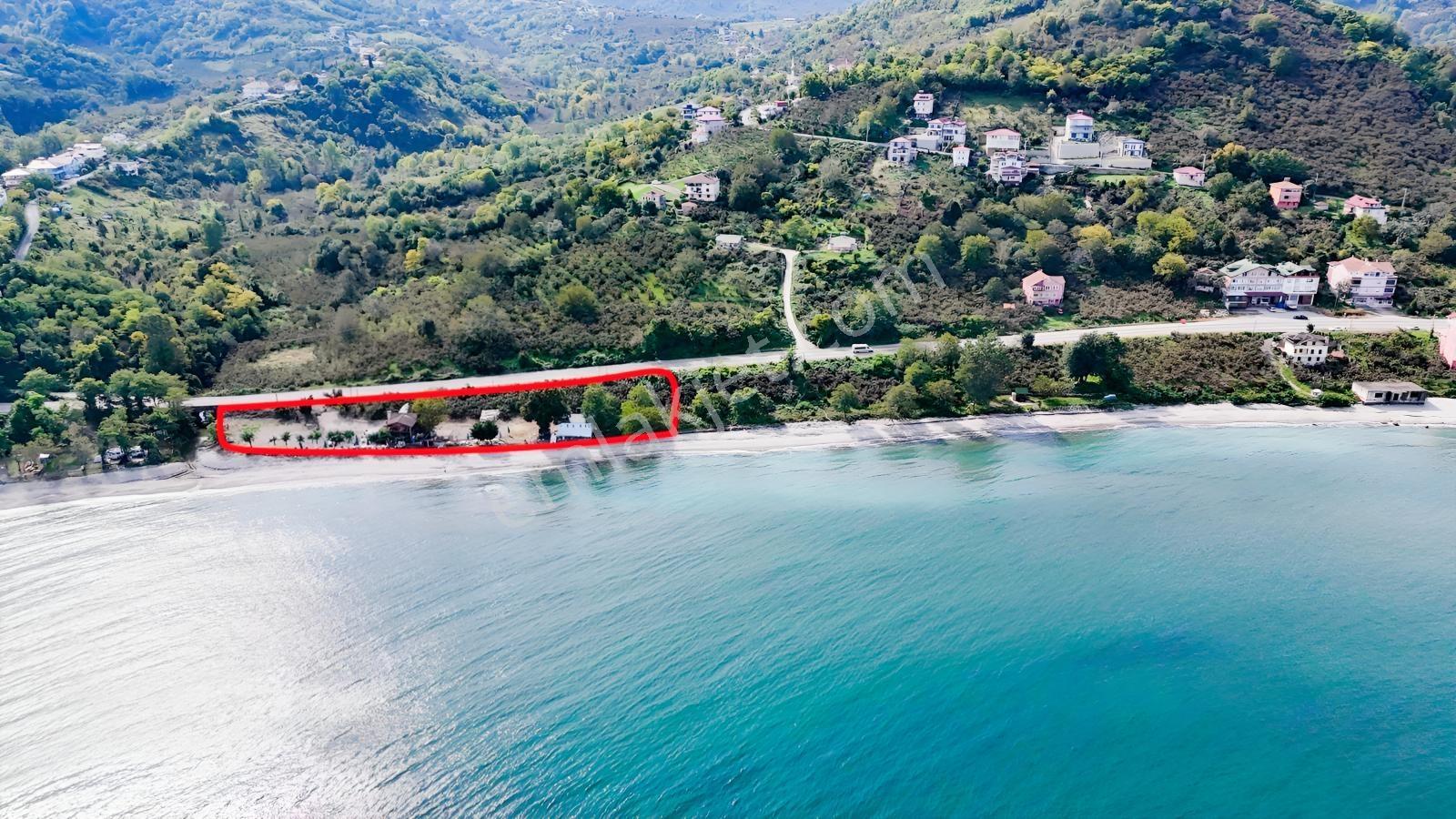 Perşembe Çakada Denize Sıfır Emsalsiz Sahil Arazisi — fotoğraf 19