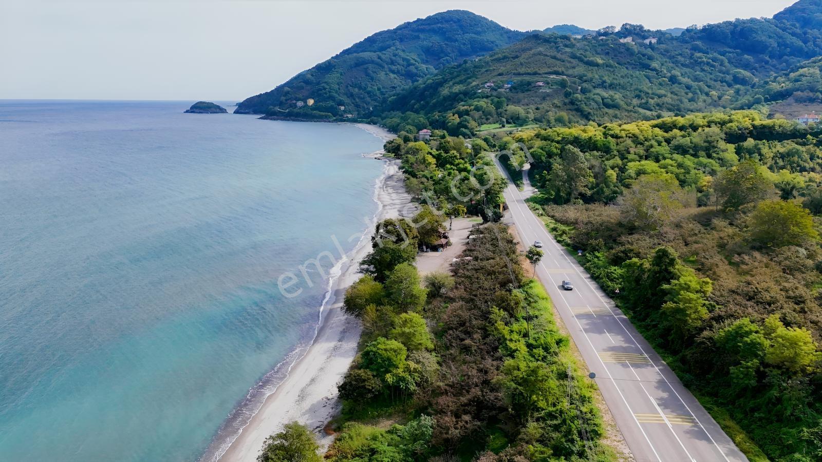 Perşembe Çakada Denize Sıfır Emsalsiz Sahil Arazisi — fotoğraf 20