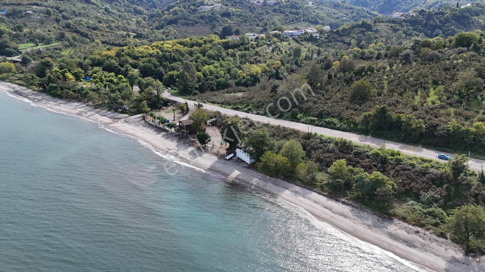 Perşembe Çakada Denize Sıfır Emsalsiz Sahil Arazisi — fotoğraf 21