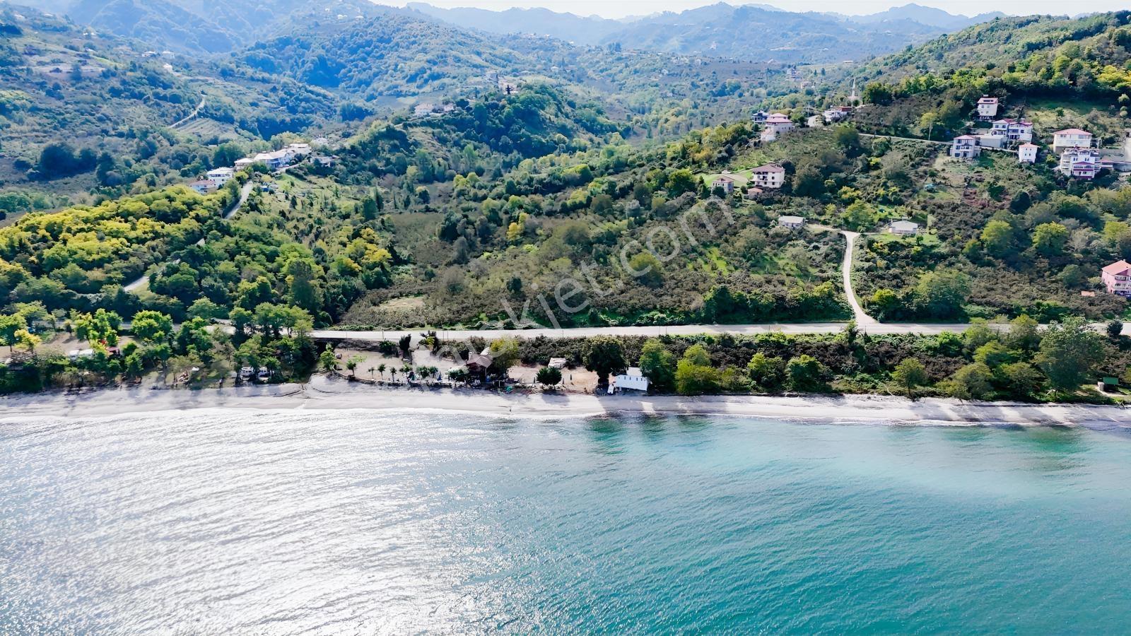 Perşembe Çakada Denize Sıfır Emsalsiz Sahil Arazisi — fotoğraf 22