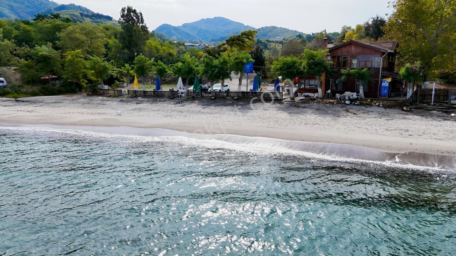 Perşembe Çakada Denize Sıfır Emsalsiz Sahil Arazisi — fotoğraf 25