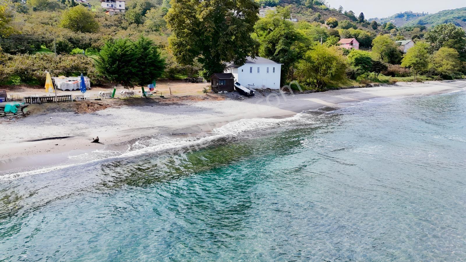 Perşembe Çakada Denize Sıfır Emsalsiz Sahil Arazisi — fotoğraf 26
