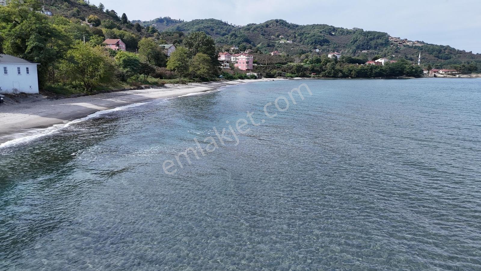 Perşembe Çakada Denize Sıfır Emsalsiz Sahil Arazisi — fotoğraf 27