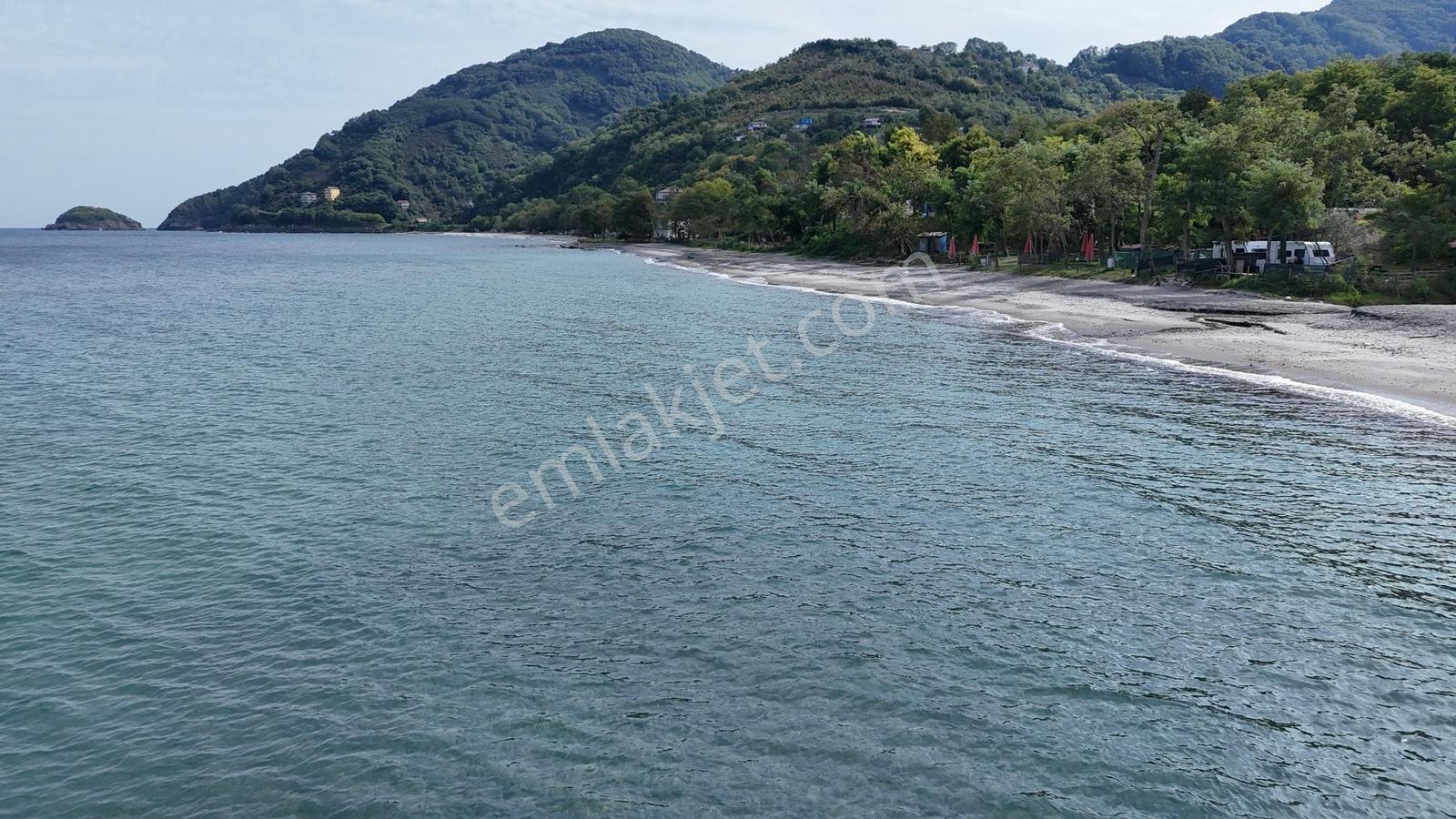 Perşembe Çakada Denize Sıfır Emsalsiz Sahil Arazisi — fotoğraf 28