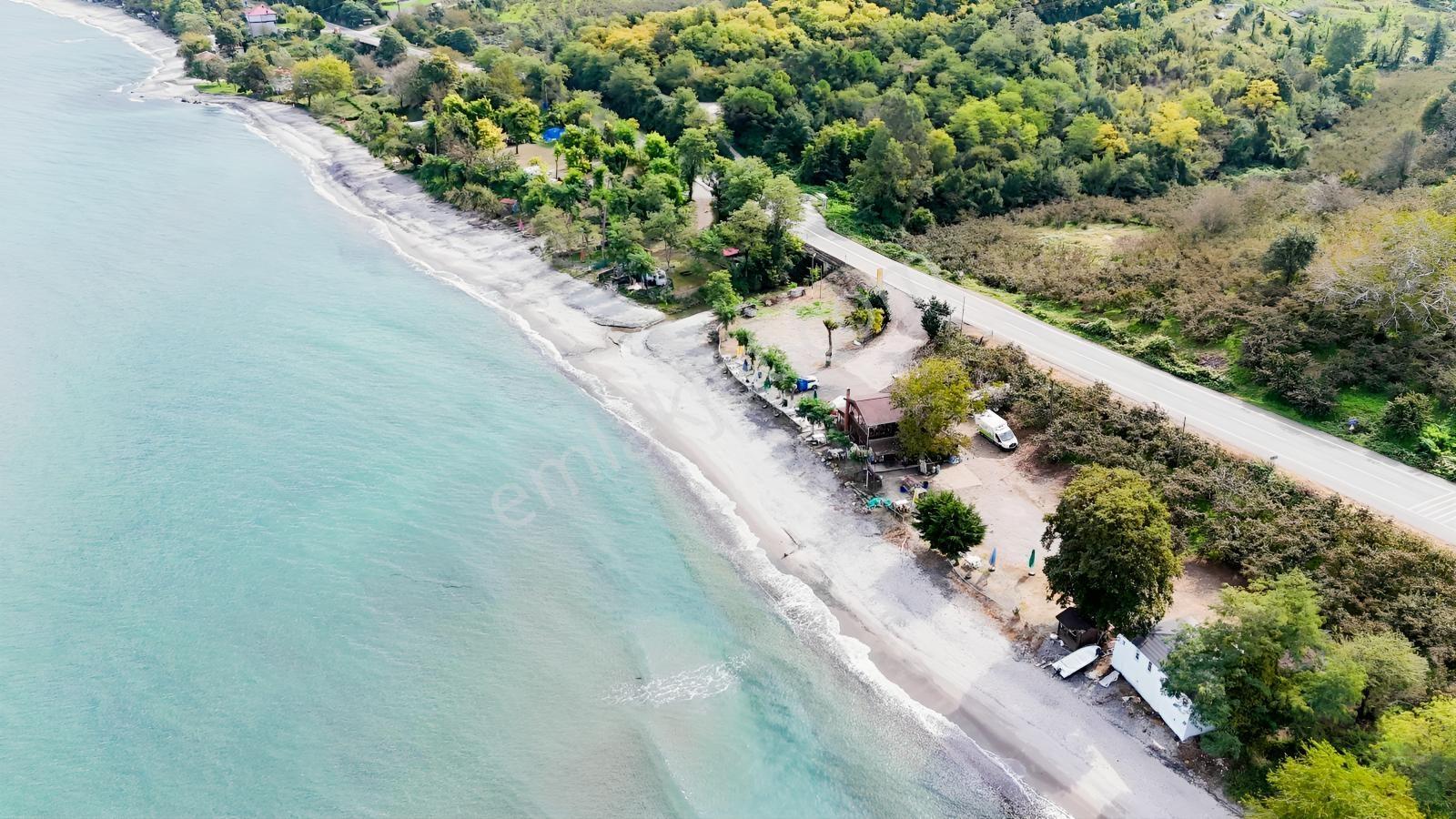 Perşembe Çakada Denize Sıfır Emsalsiz Sahil Arazisi — fotoğraf 30