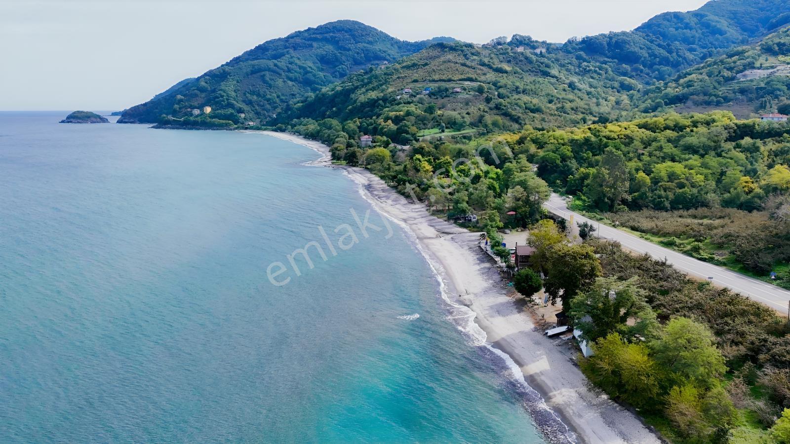 Perşembe Çakada Denize Sıfır Emsalsiz Sahil Arazisi — fotoğraf 31